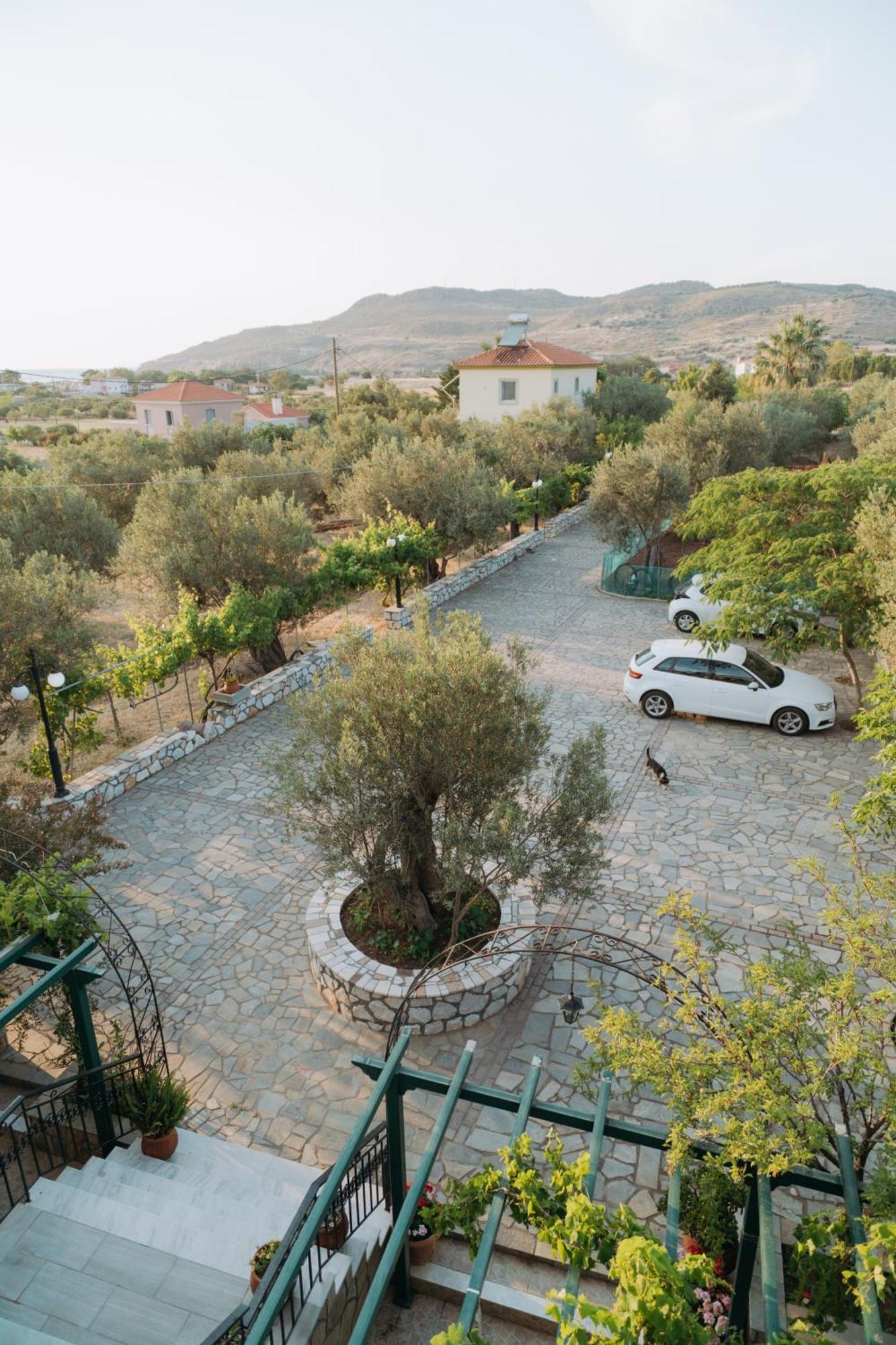 Vasiliki Studios เปตรา ภายนอก รูปภาพ
