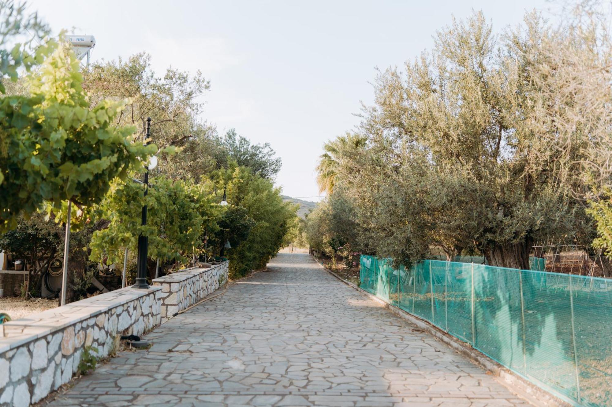 Vasiliki Studios เปตรา ภายนอก รูปภาพ