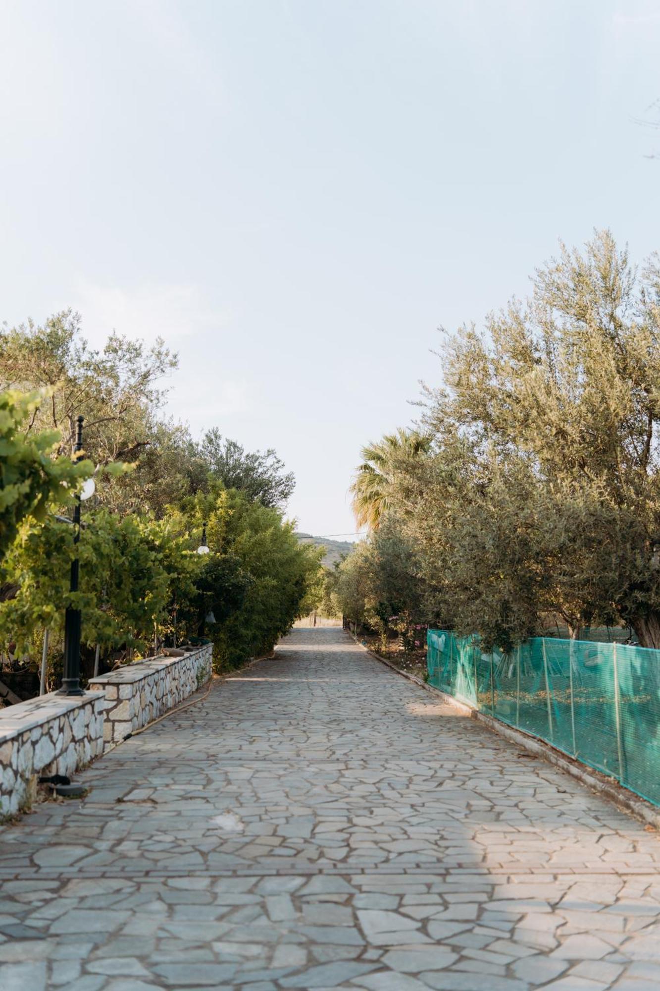 Vasiliki Studios เปตรา ภายนอก รูปภาพ