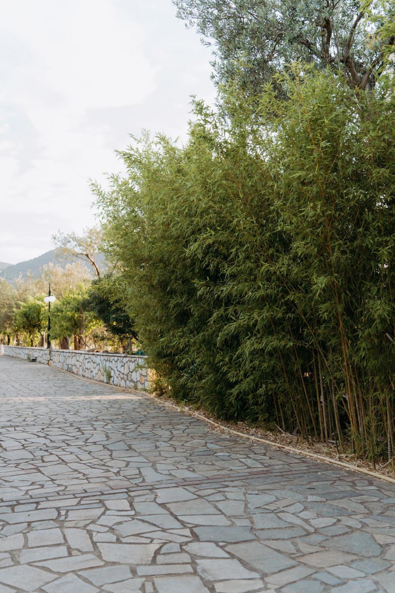 Vasiliki Studios เปตรา ภายนอก รูปภาพ