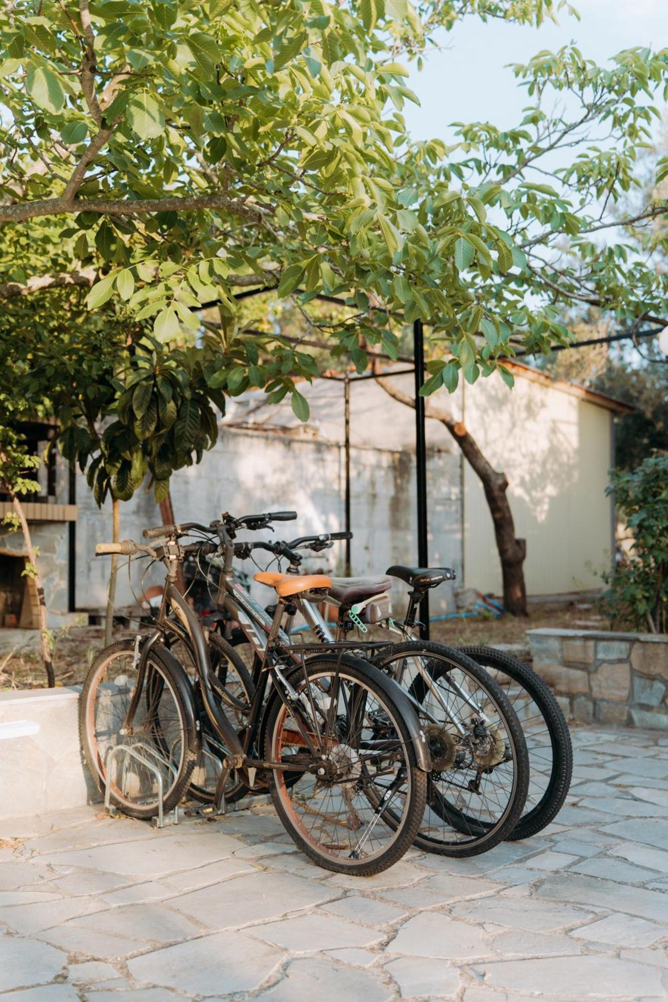 Vasiliki Studios เปตรา ภายนอก รูปภาพ
